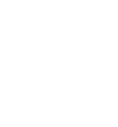 Pacific Rover LLC logo featuring a dragonfly overlayed on a fly fishing real with the text "Pacific Rover" around.
